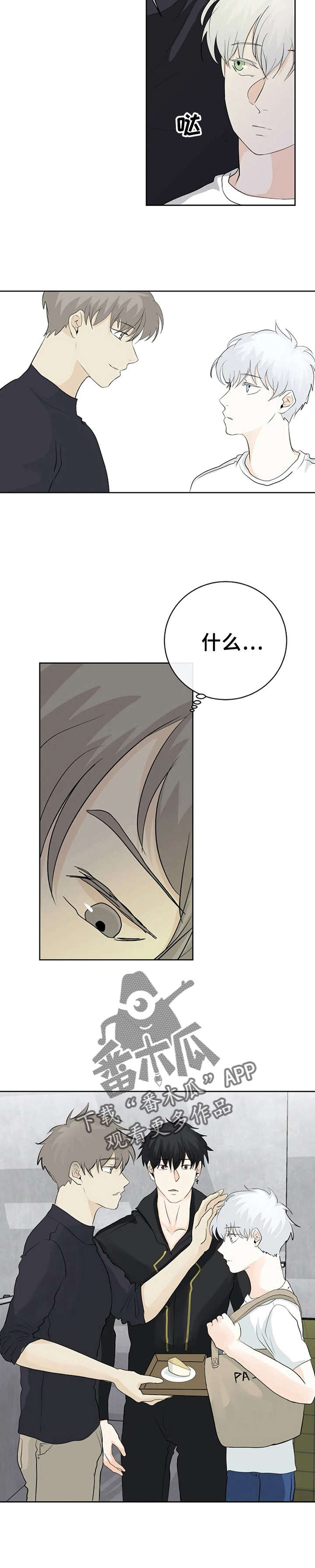 《贴身使者》第10章小组讨论 第3页