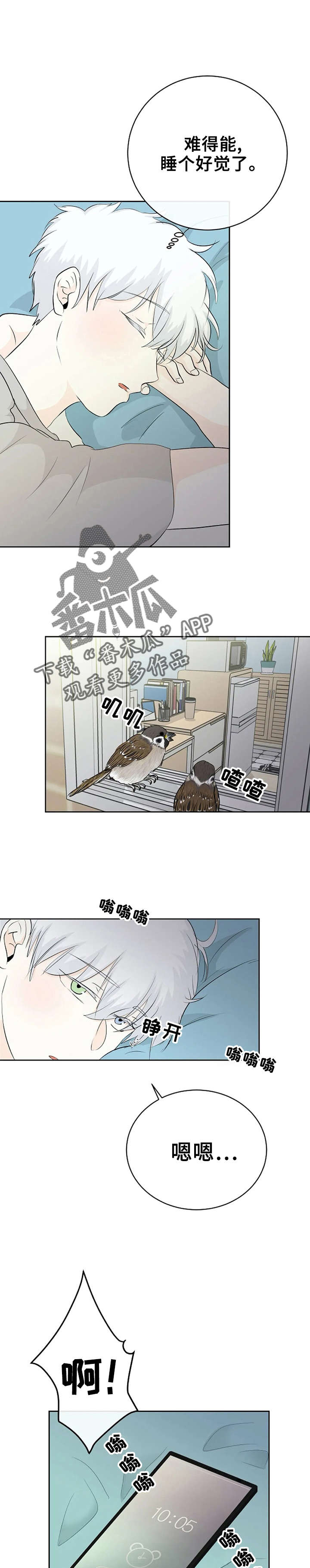 《贴身使者》第5章好漂亮 第4页