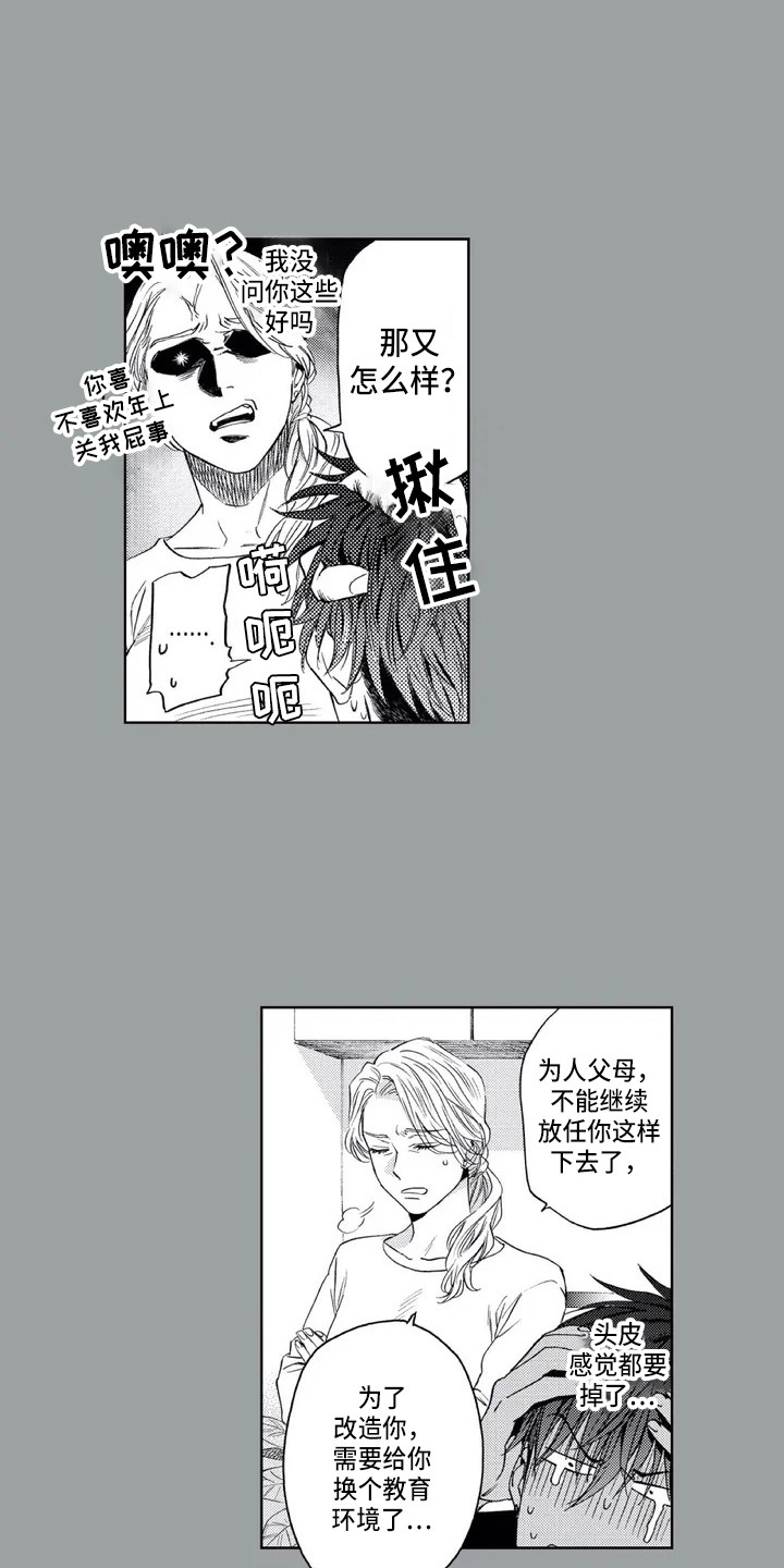 《爱易路标》第2章初恋 第2页