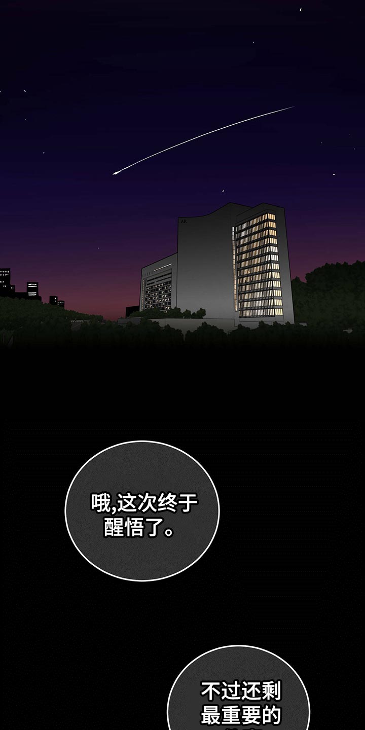 《人生重启》第116章【第二季】最后一次机会【第二季完结】 第19页