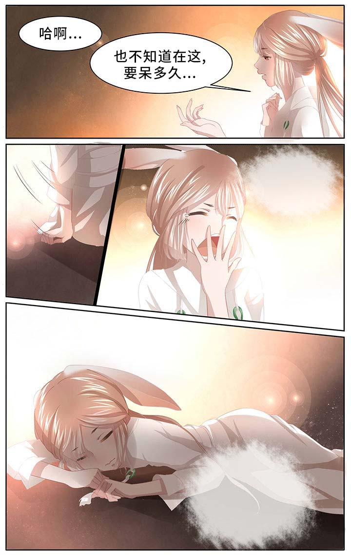 《玉兔郁途》第3章 第1页