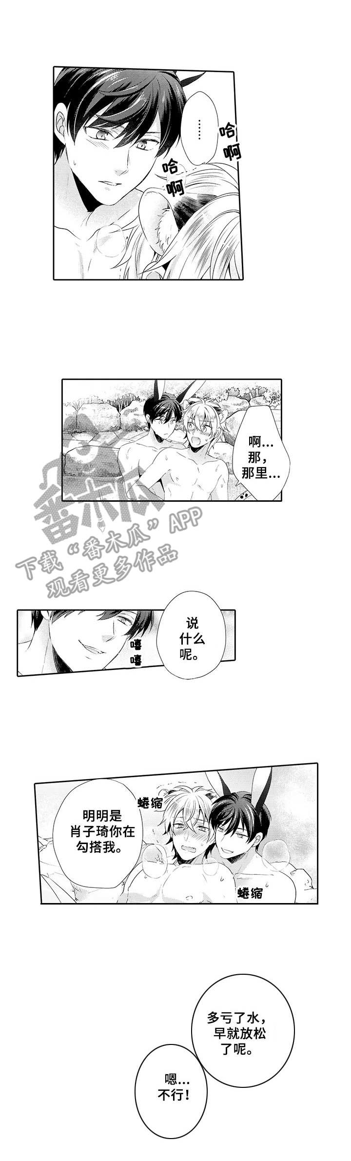 《肉食系守则》第19章积极 第1页