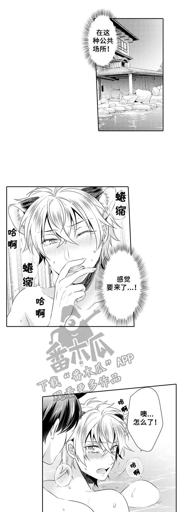 《肉食系守则》第19章积极 第2页