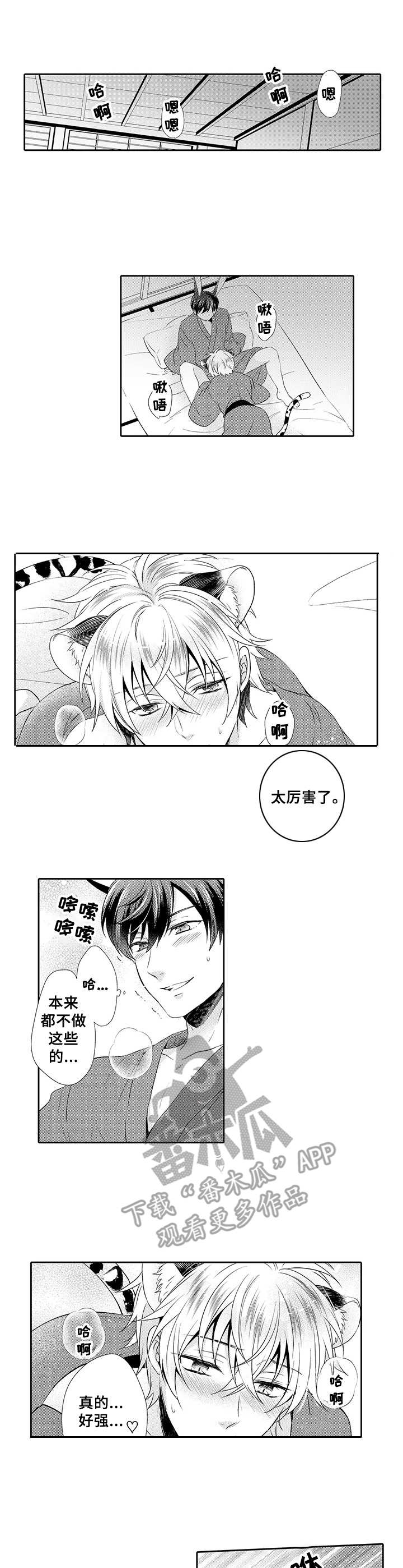 《肉食系守则》第19章积极 第4页