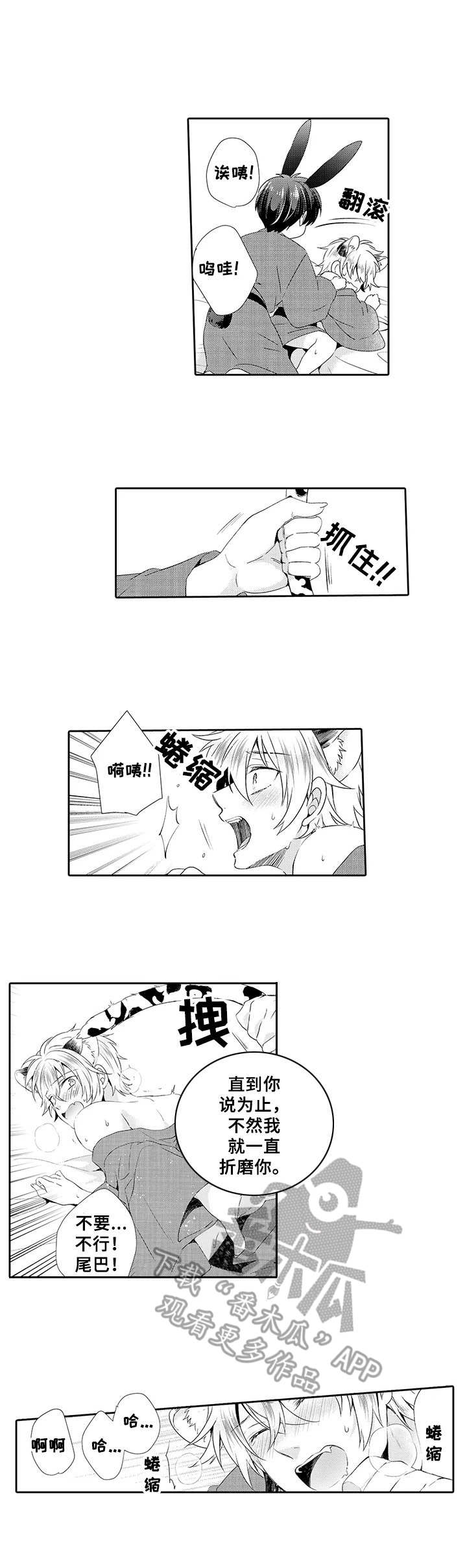 《肉食系守则》第19章积极 第7页