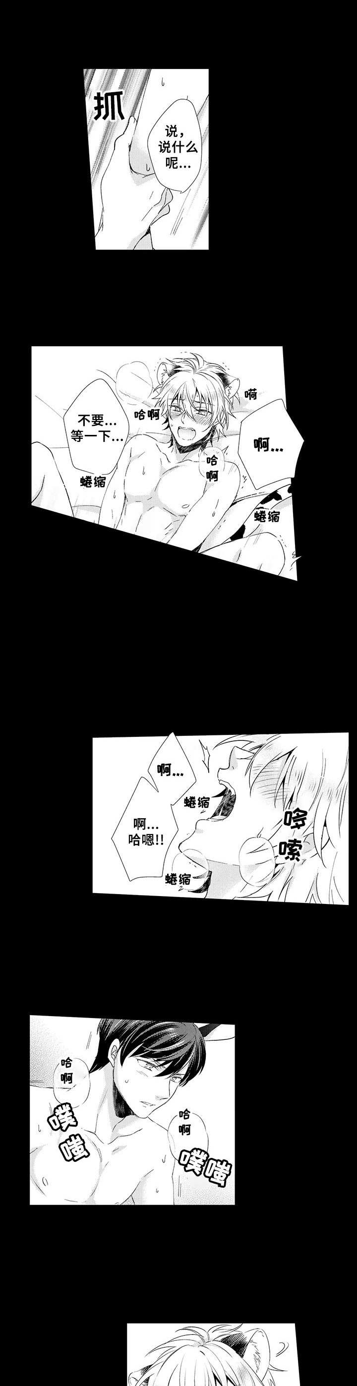 《肉食系守则》第12章痕迹 第7页