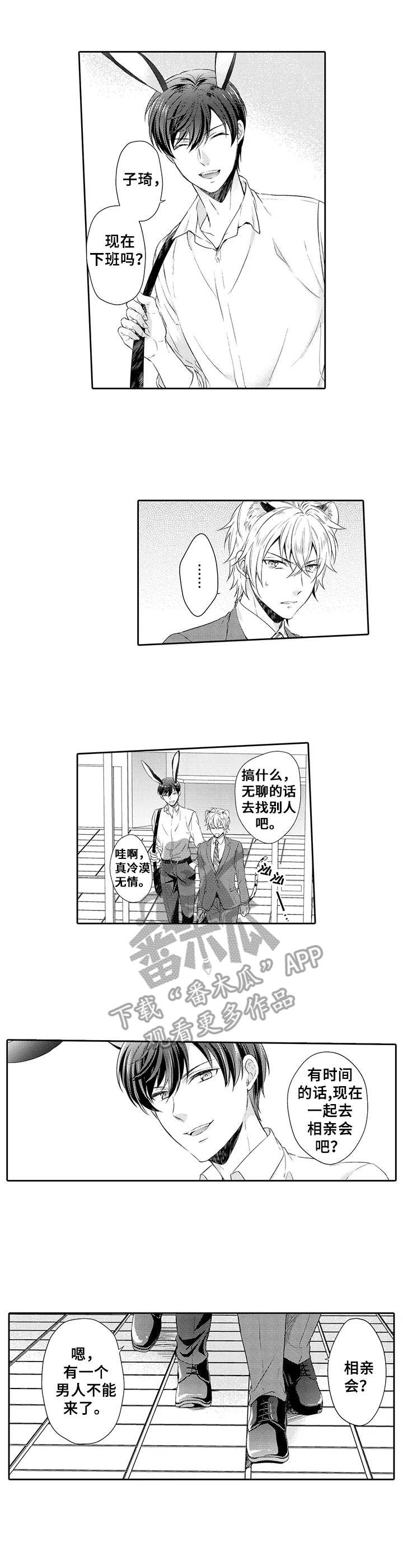 《肉食系守则》第6章相亲会 第2页