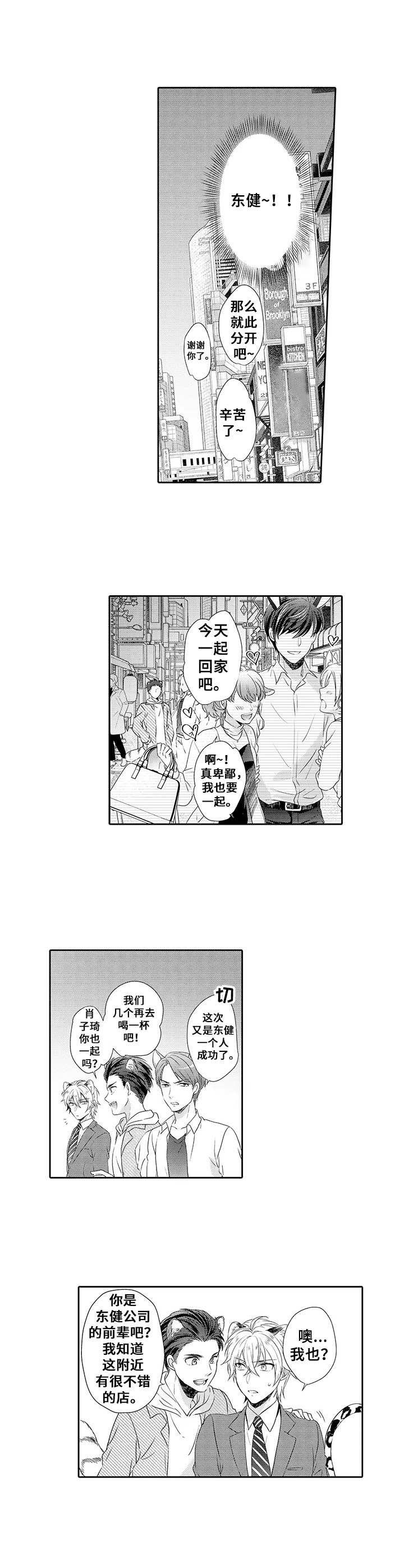 《肉食系守则》第6章相亲会 第8页