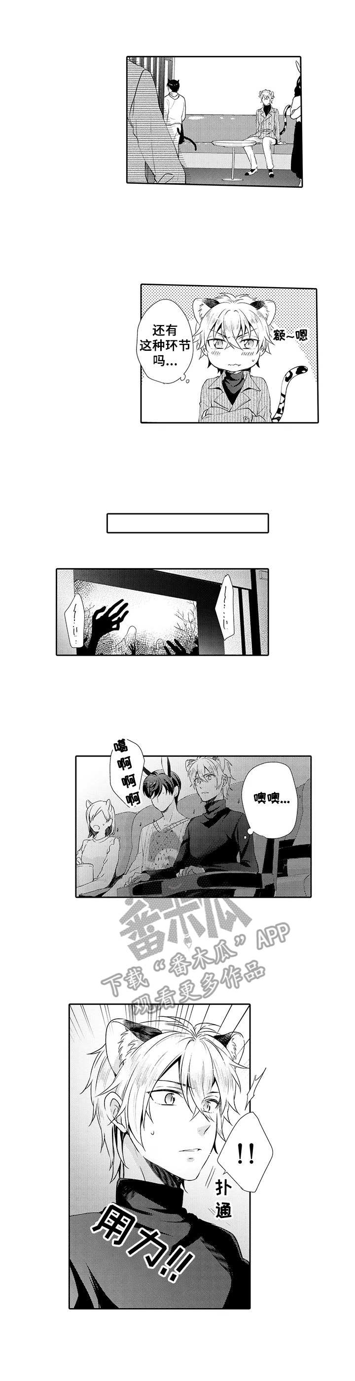 《肉食系守则》第10章氛围不错 第1页