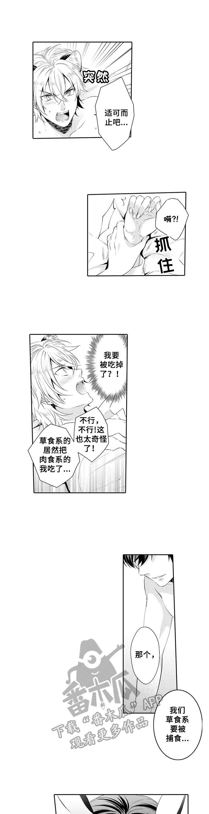 《肉食系守则》第2章耻辱 第5页