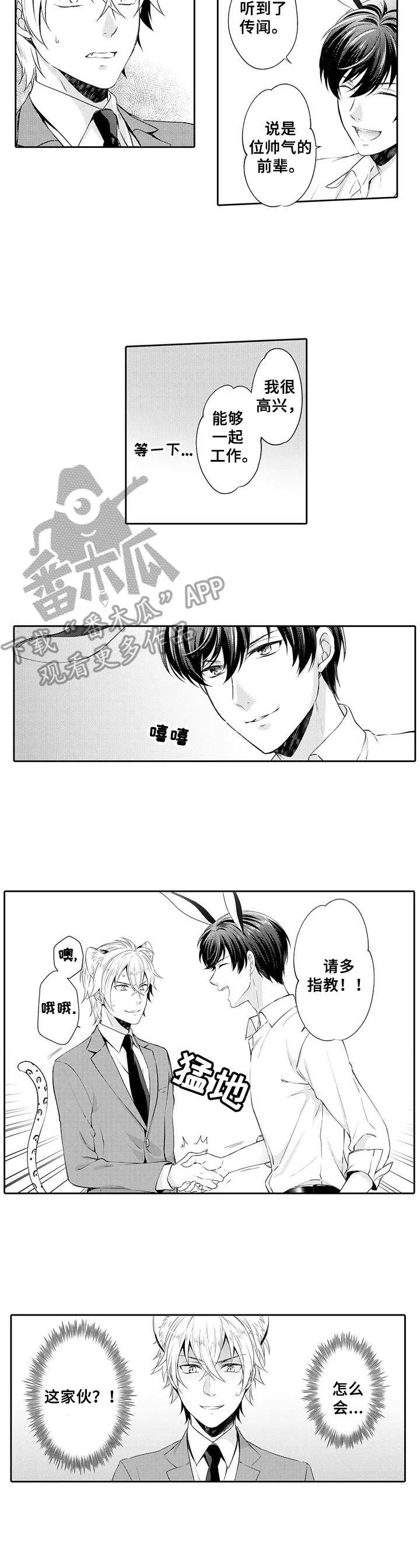 《肉食系守则》第3章花花公子 第4页