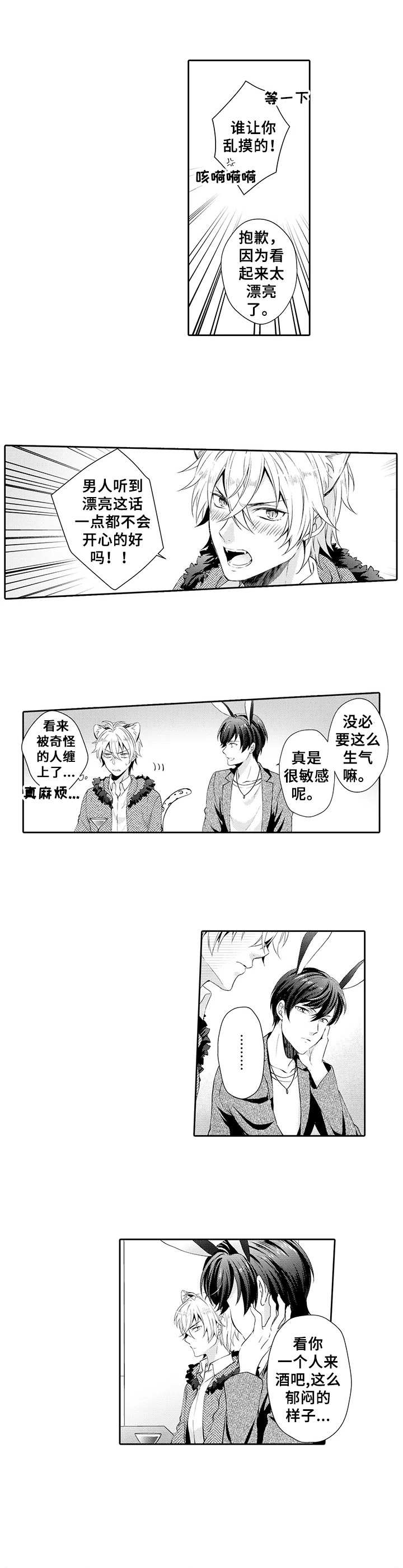 《肉食系守则》第1章肉食系 第6页