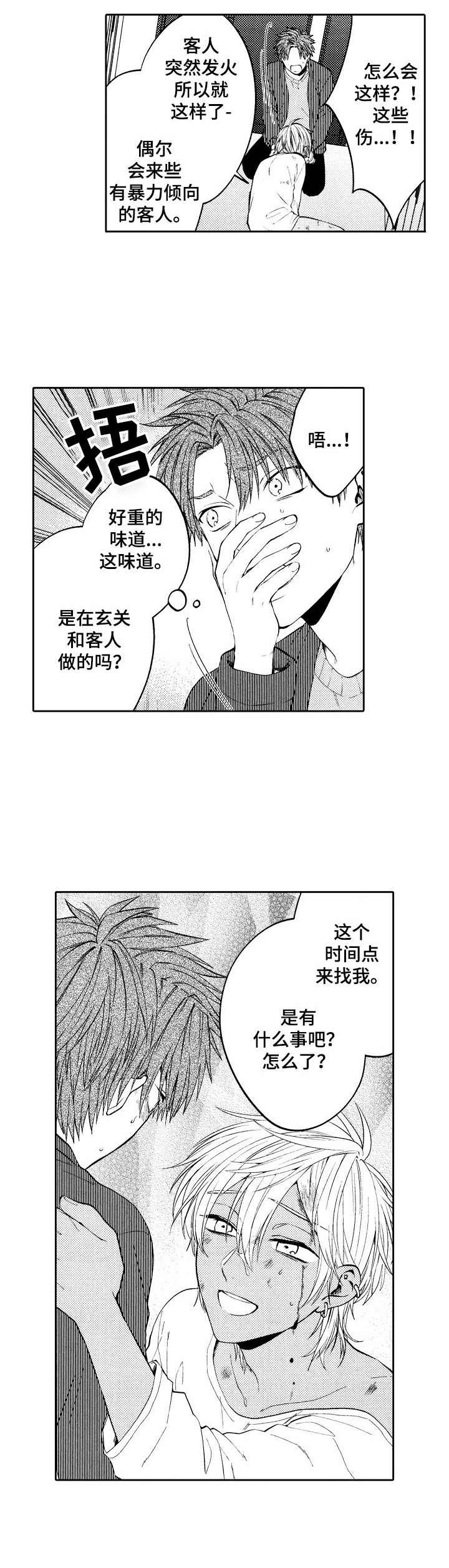《同源兄弟》第12章伤痕累累 第4页