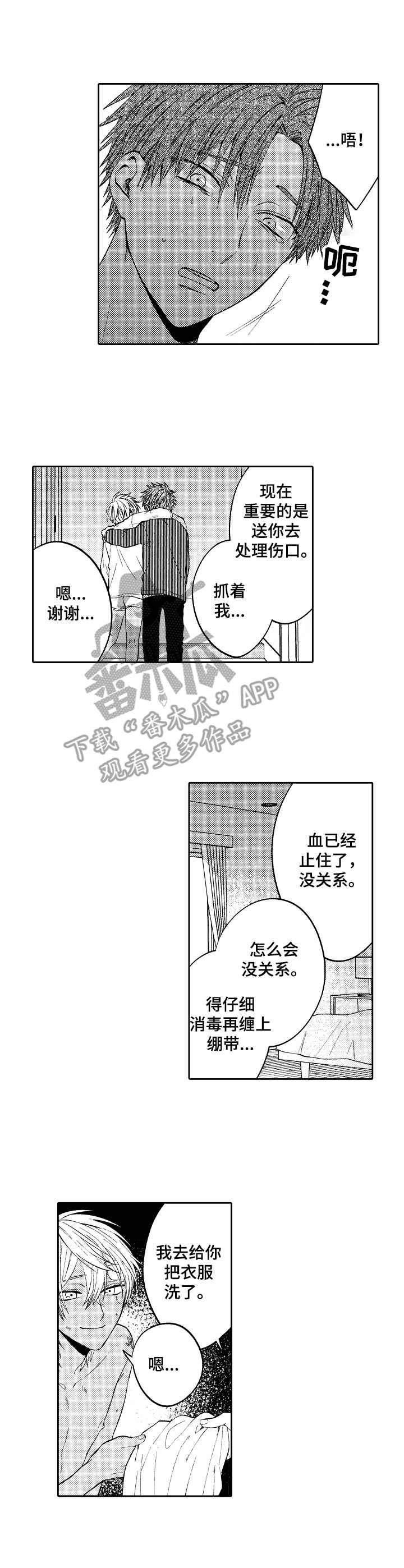 《同源兄弟》第12章伤痕累累 第5页