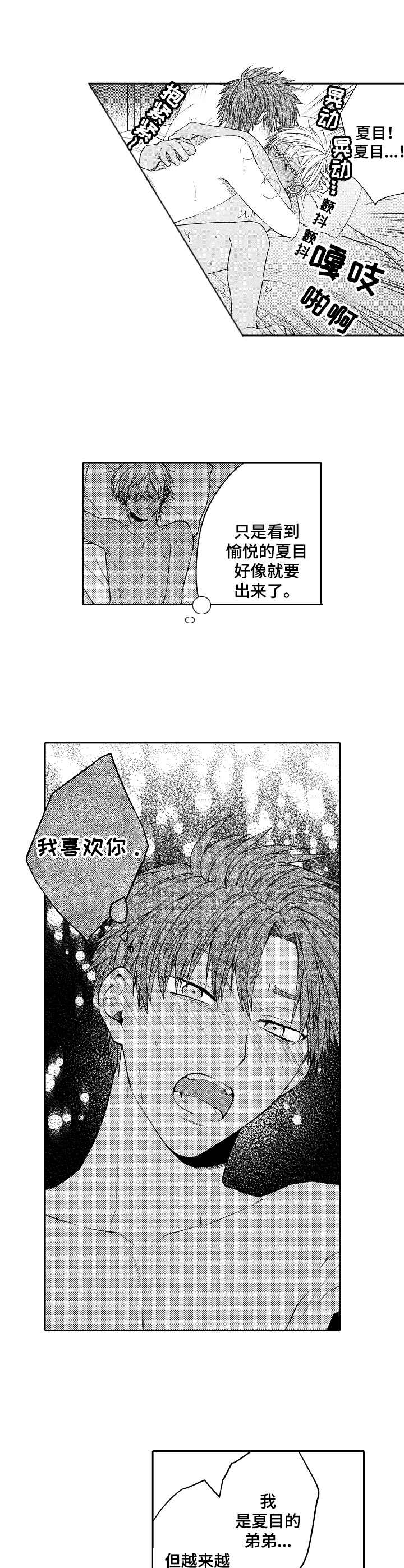 《同源兄弟》第9章愉悦 第7页