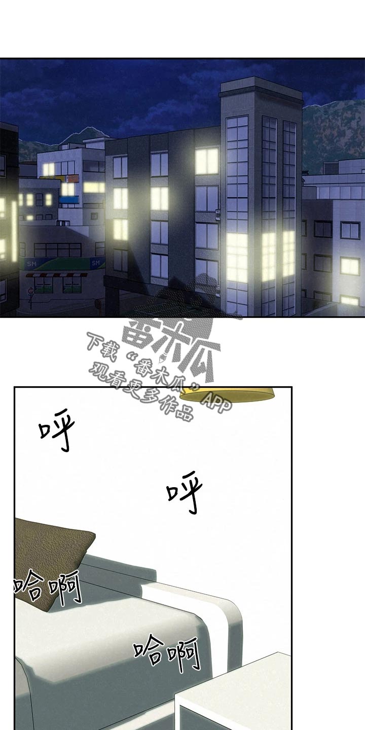 《旅途解放》第38章回归正轨 第15页