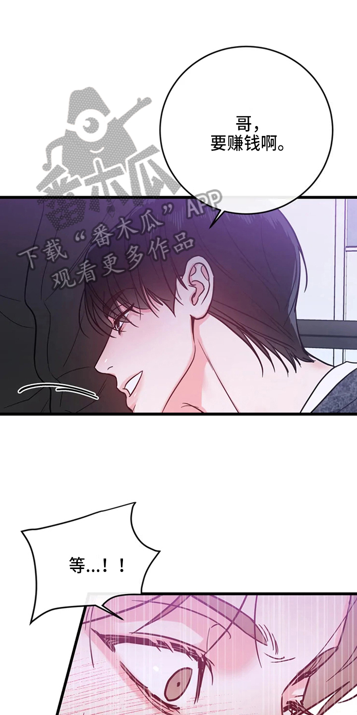 《偷心花园》第81章危险直播事故 第1页