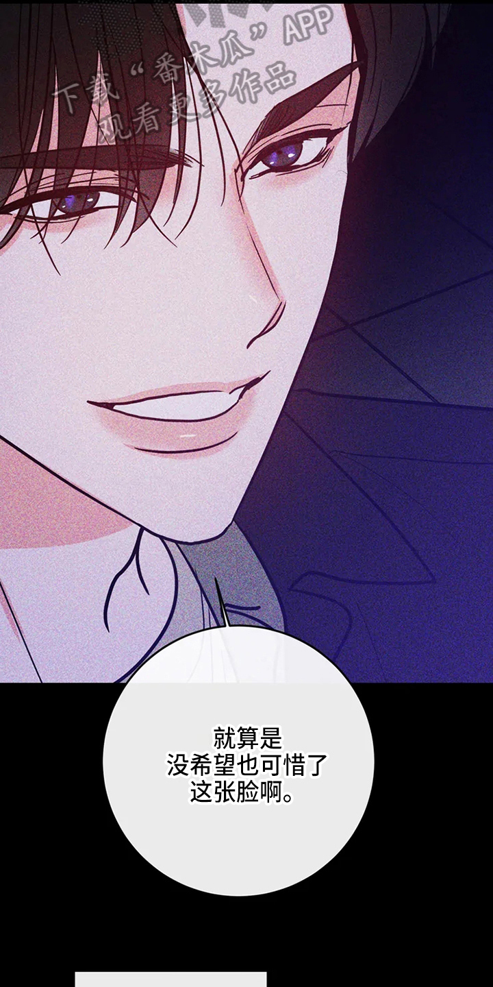 《偷心花园》第82章危险直播心里话 第13页
