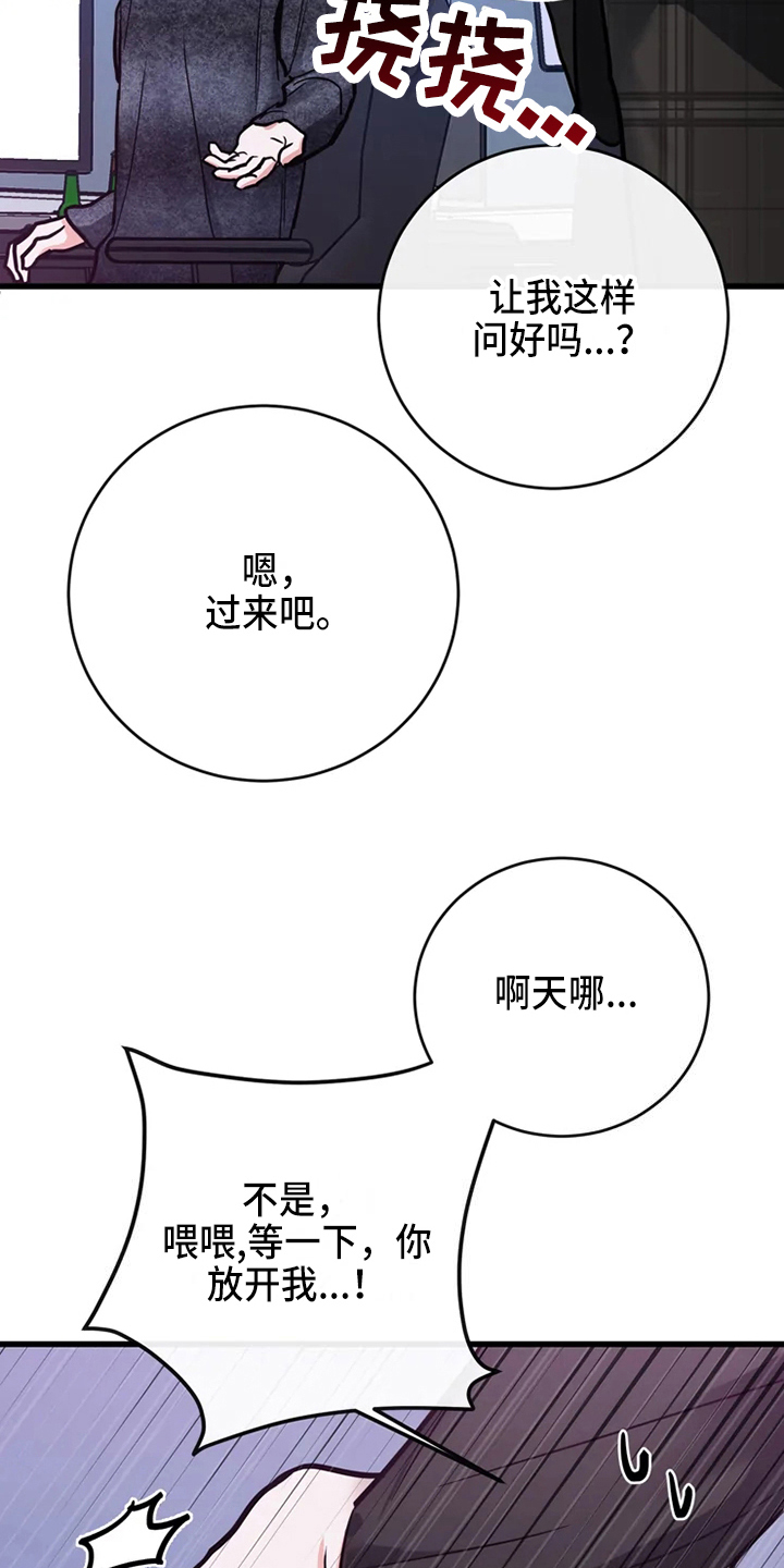 《偷心花园》第78章危险直播一起直播 第17页