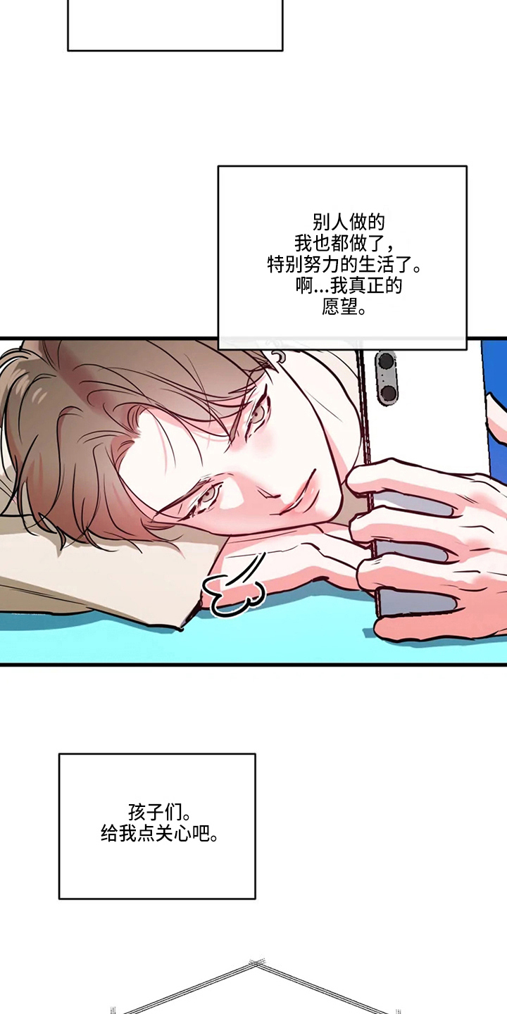 《偷心花园》第75章危险直播小主播 第16页