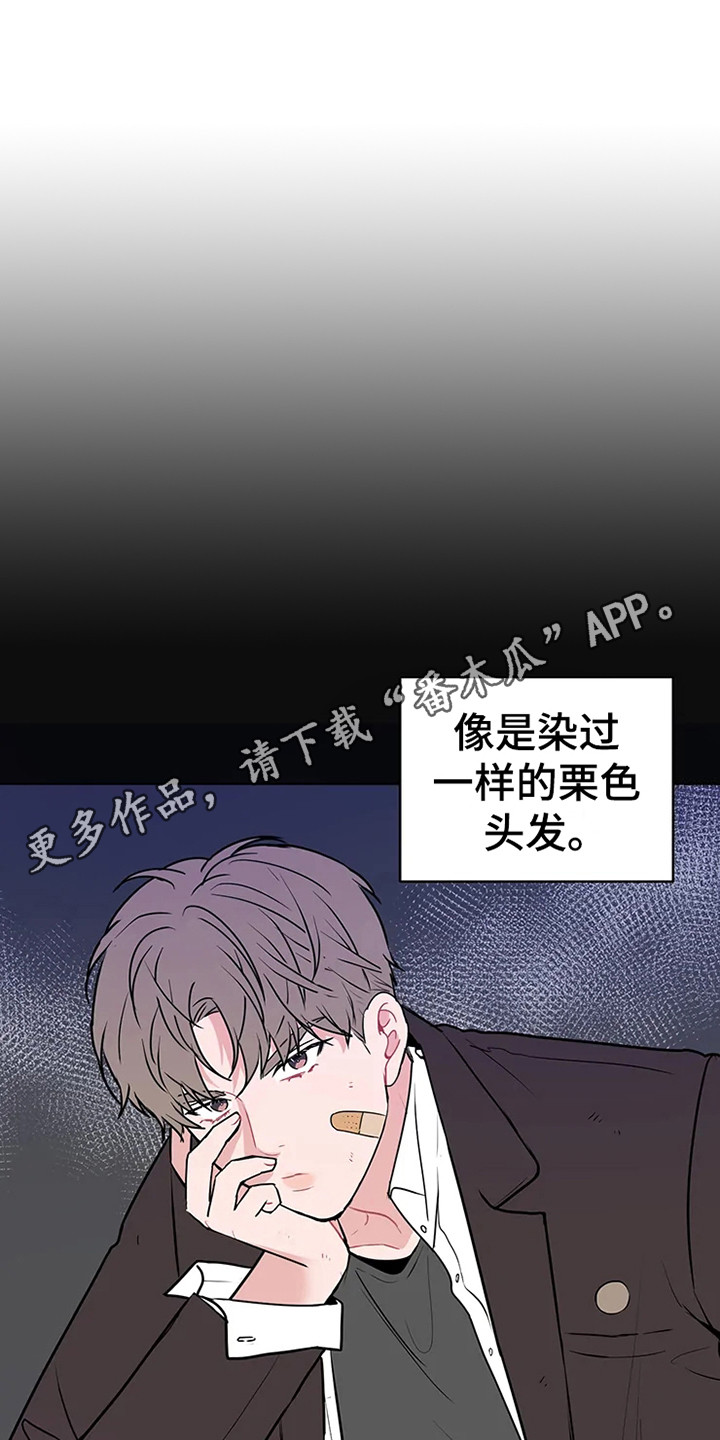 《偷心花园》第72章大雨咨询肯说实话 第11页