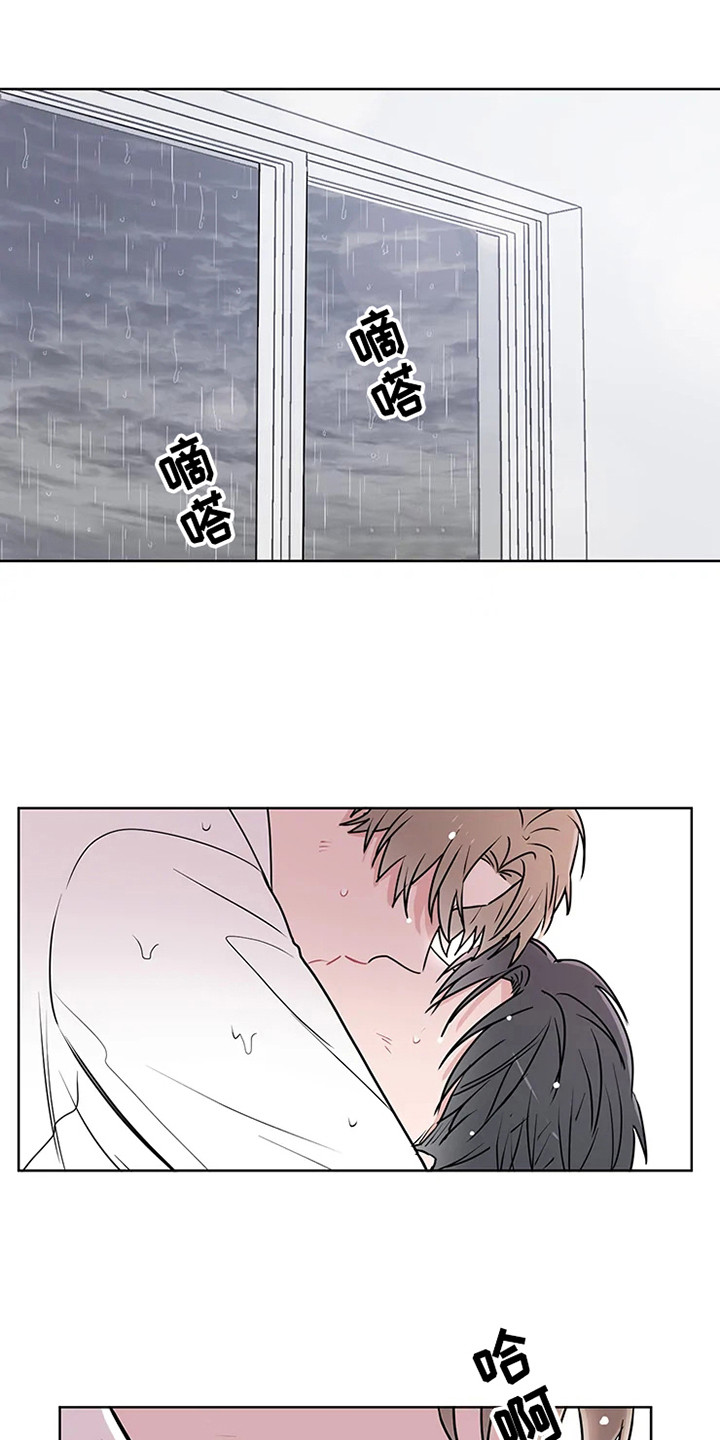 《偷心花园》第71章大雨咨询醒悟 第1页