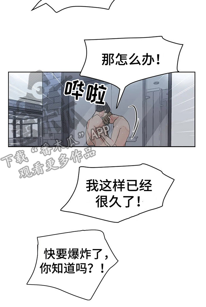 《偷心花园》第73章大雨咨询急不可耐 第17页