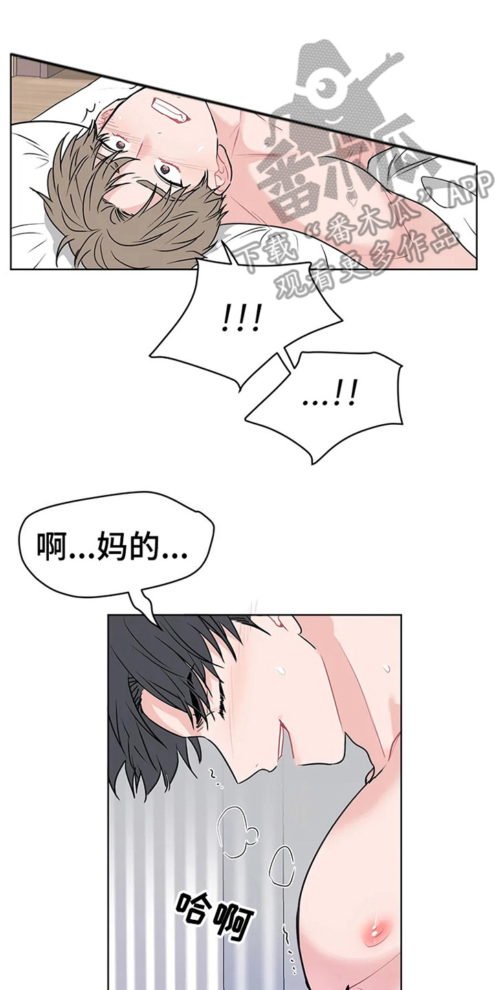 《偷心花园》第74章大雨咨询挺和谐（完） 第11页