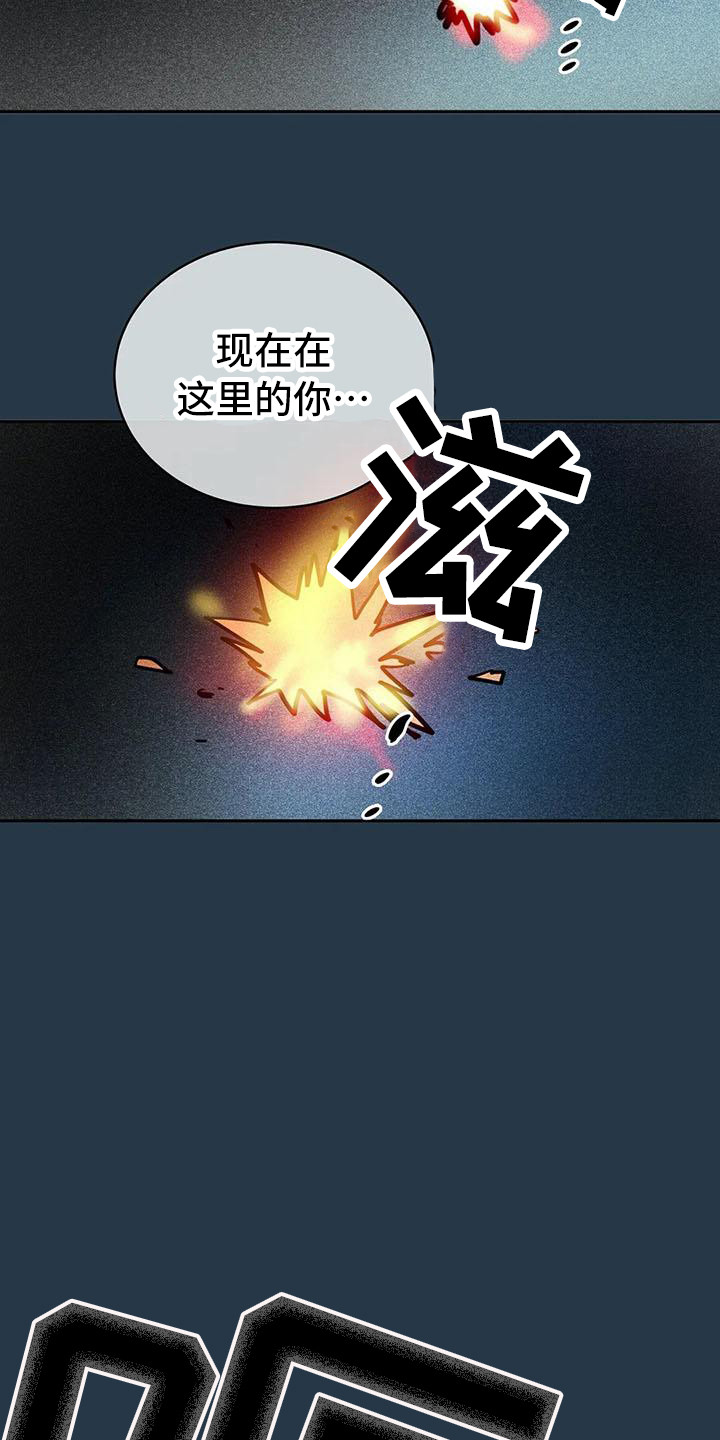 《偷心花园》第65章京城事务所功成身退（完） 第15页