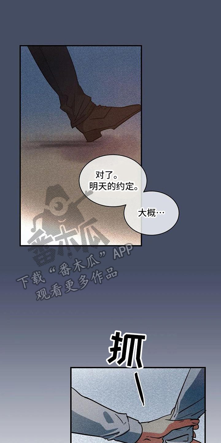 《偷心花园》第62章京城事务所心里话 第8页