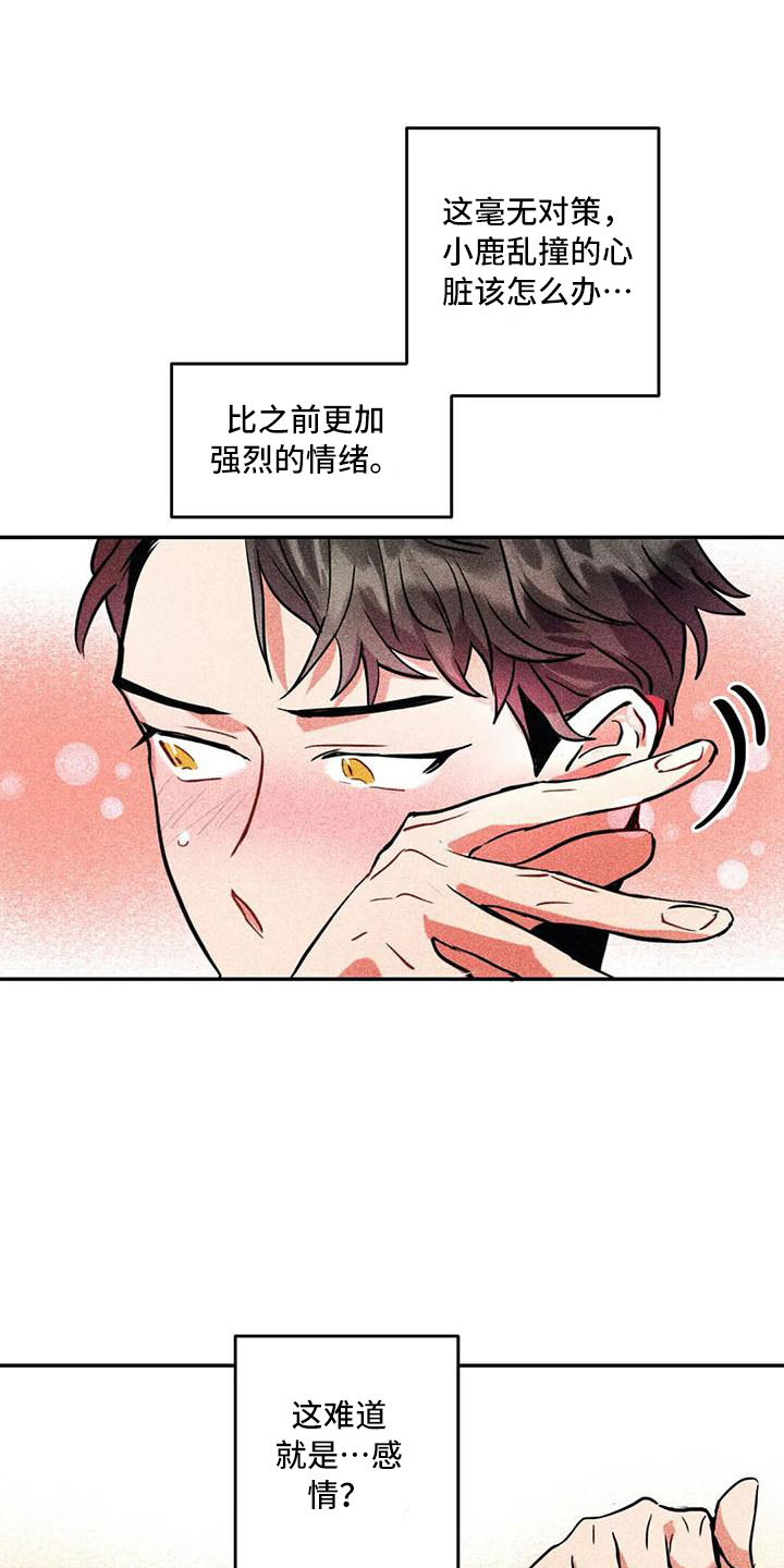 《偷心花园》第60章京城事务所进入宅邸 第1页