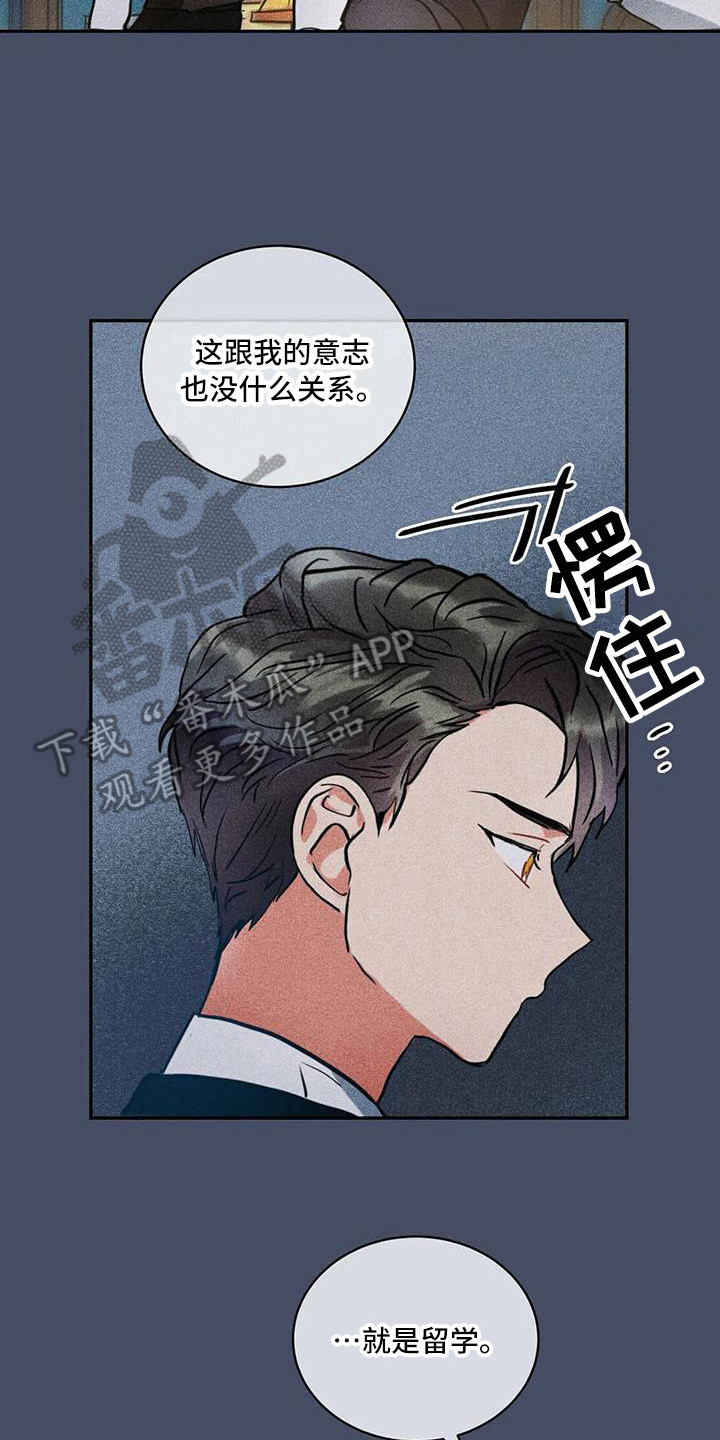 《偷心花园》第61章京城事务所诉说 第14页