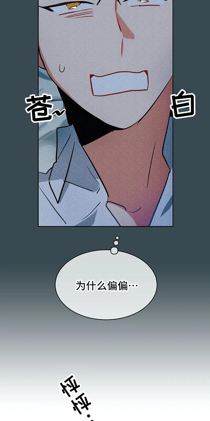 《偷心花园》第59章京城事务所没法冷静 第11页