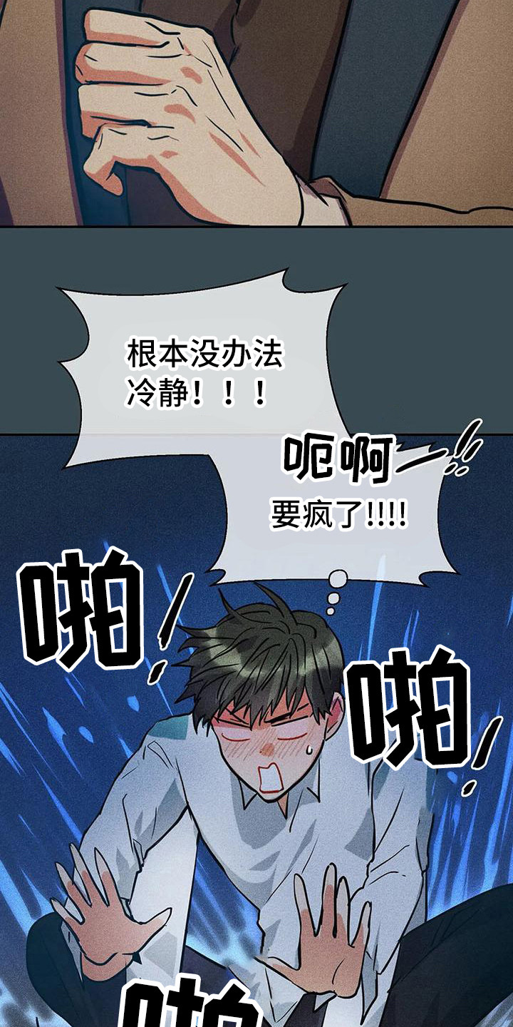 《偷心花园》第59章京城事务所没法冷静 第18页