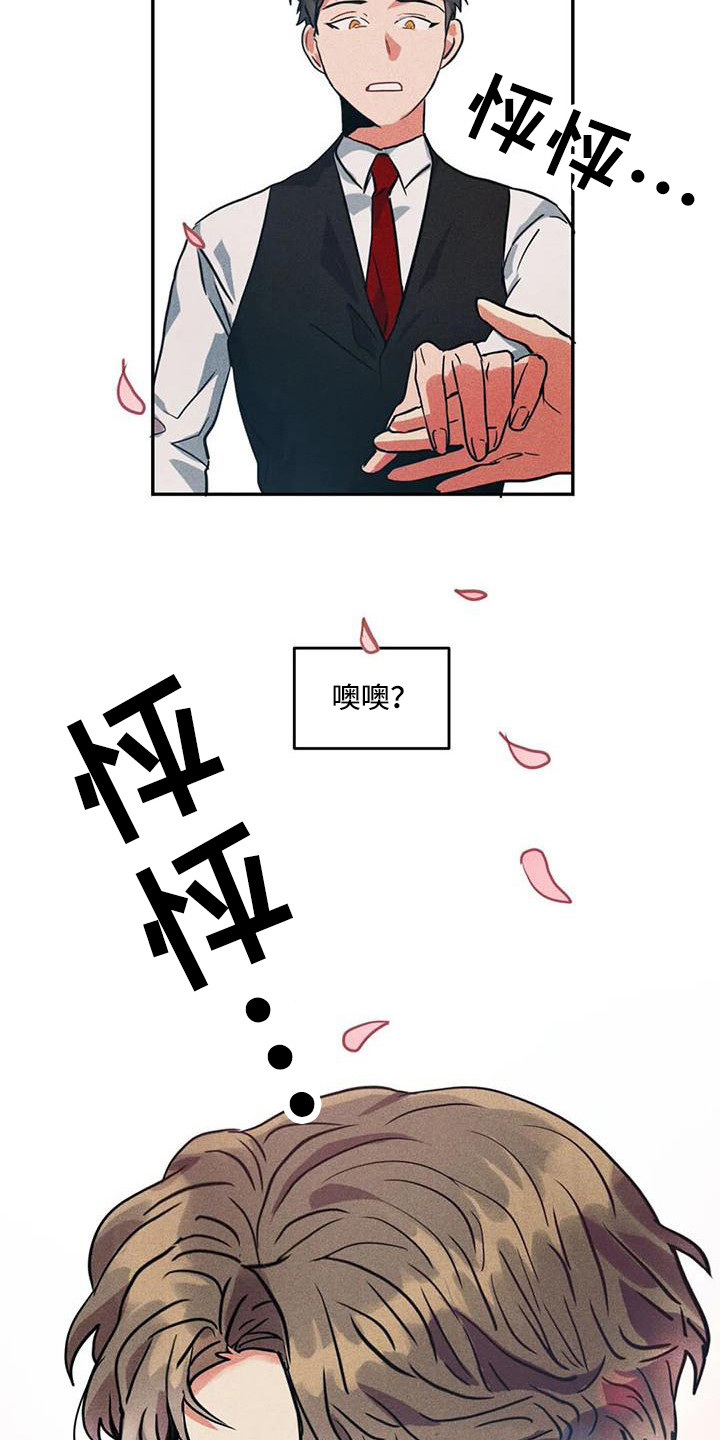 《偷心花园》第59章京城事务所没法冷静 第4页