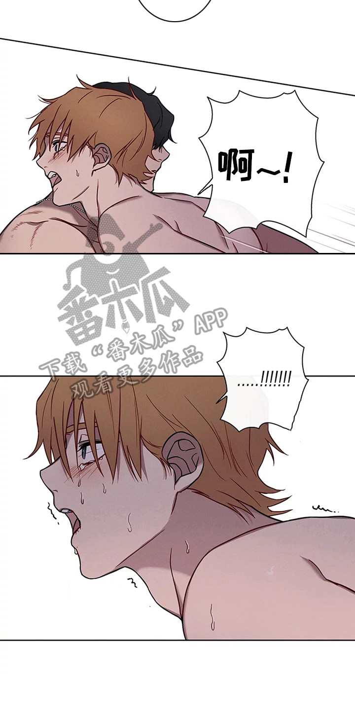 《偷心花园》第51章三角恋人求饶 第21页