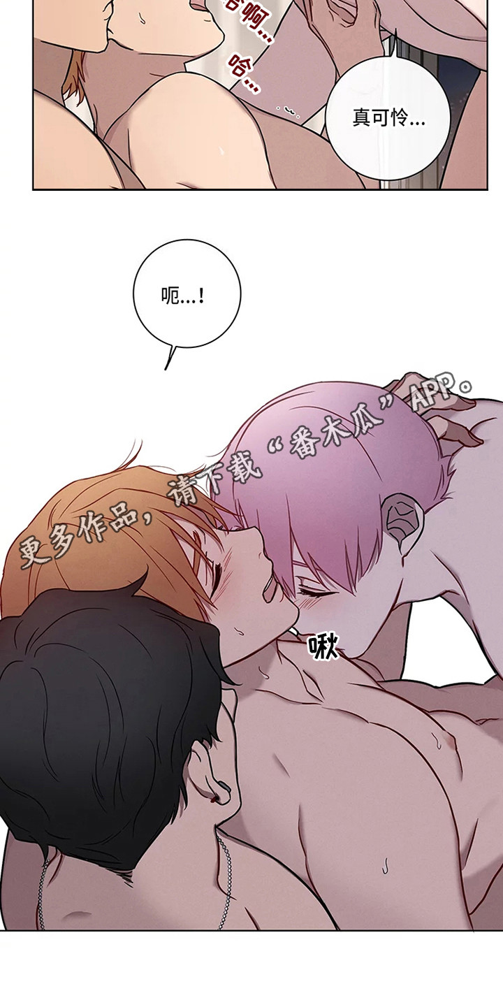 《偷心花园》第51章三角恋人求饶 第4页