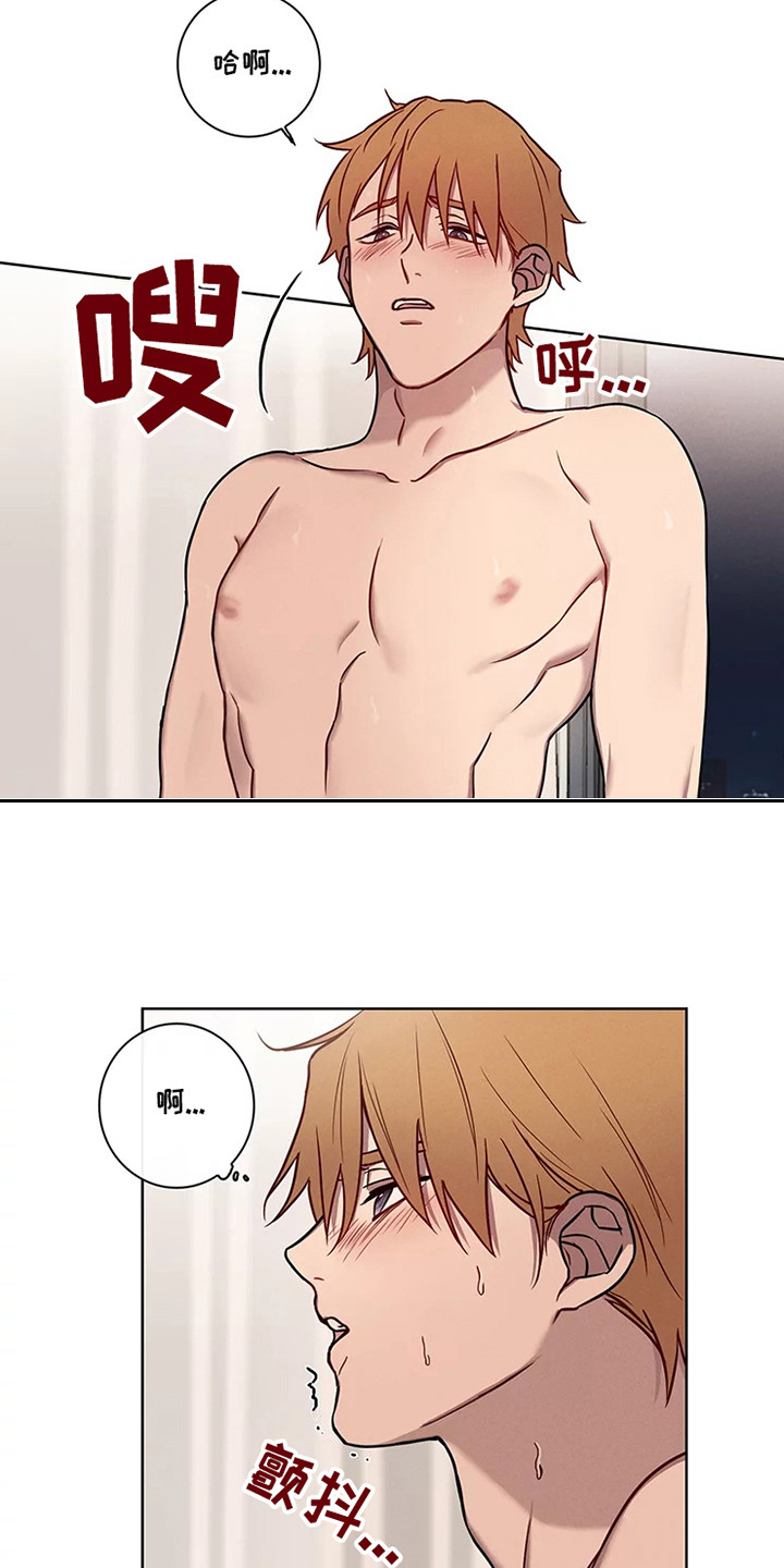《偷心花园》第51章三角恋人求饶 第6页