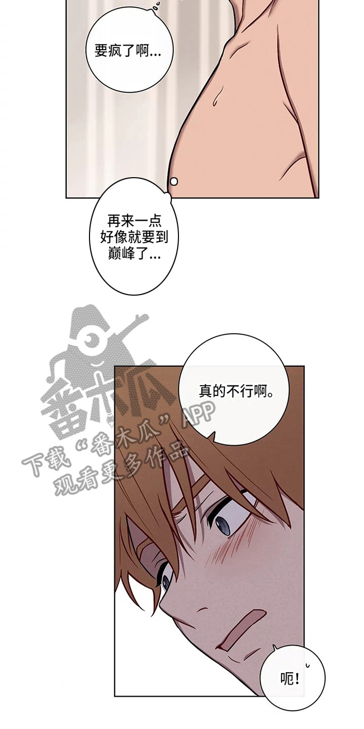 《偷心花园》第51章三角恋人求饶 第7页