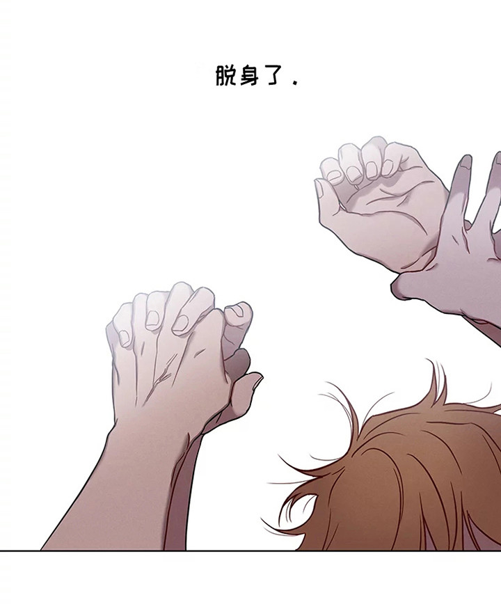 《偷心花园》第53章三角恋人没法脱身了（完） 第24页