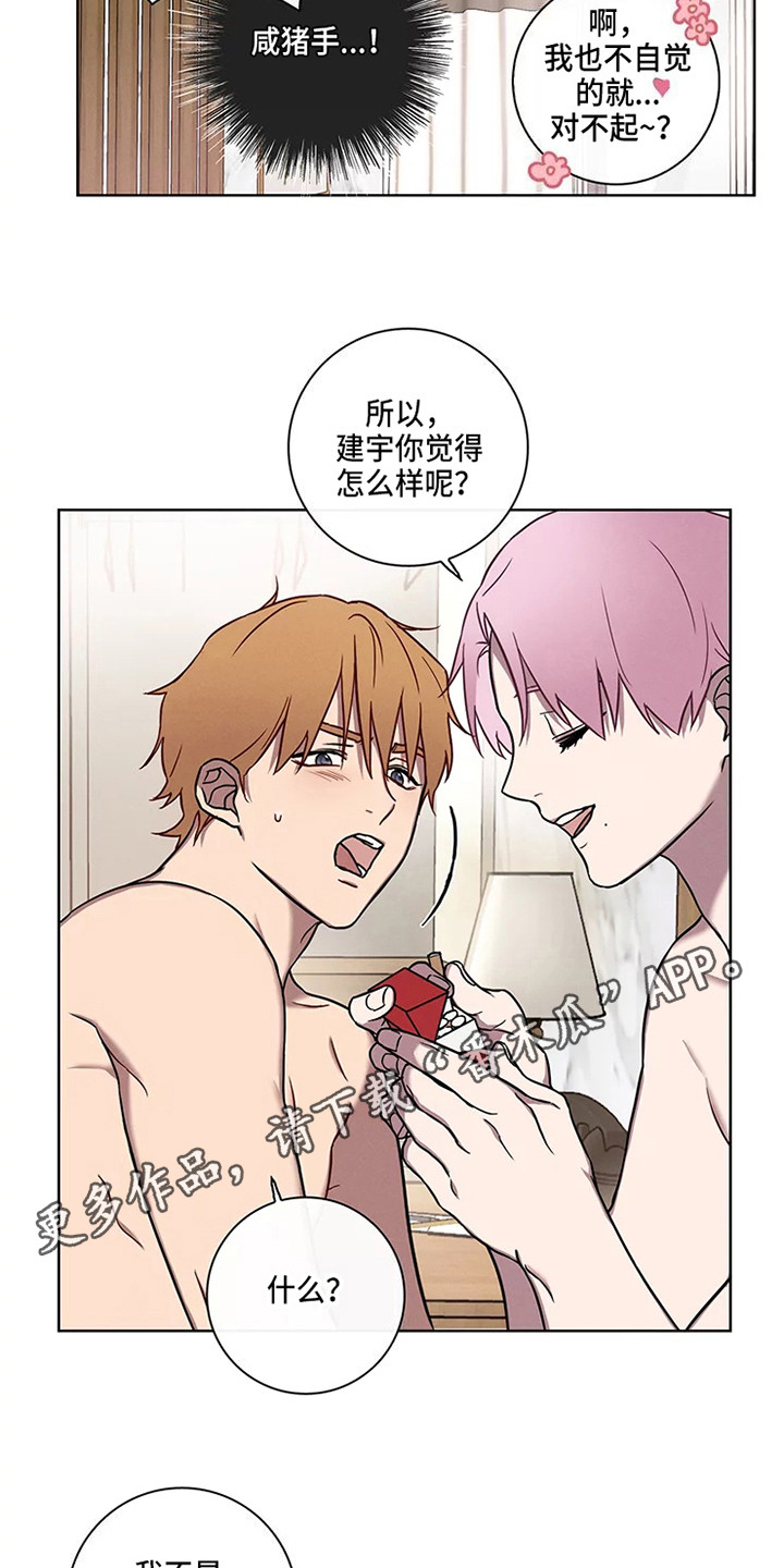《偷心花园》第53章三角恋人没法脱身了（完） 第5页