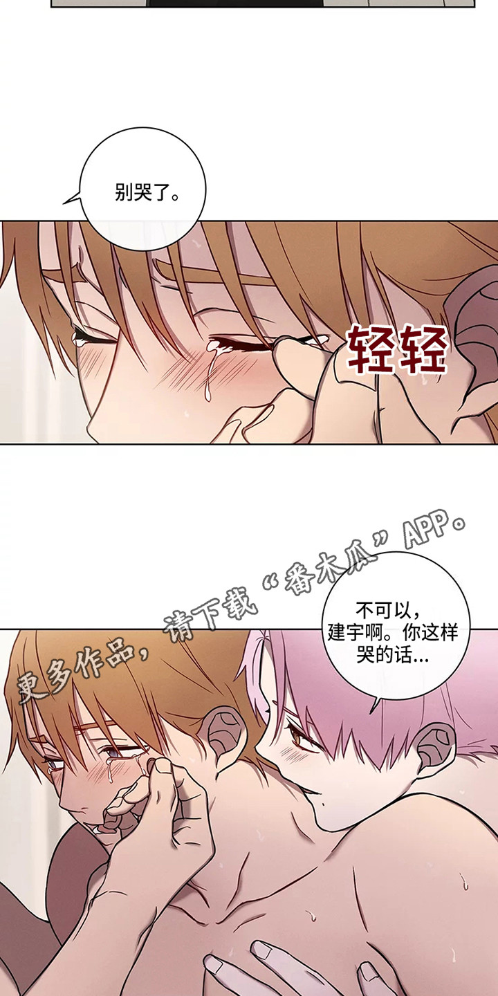 《偷心花园》第52章三角恋人很有关系 第12页
