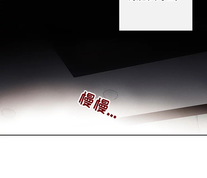《偷心花园》第52章三角恋人很有关系 第17页