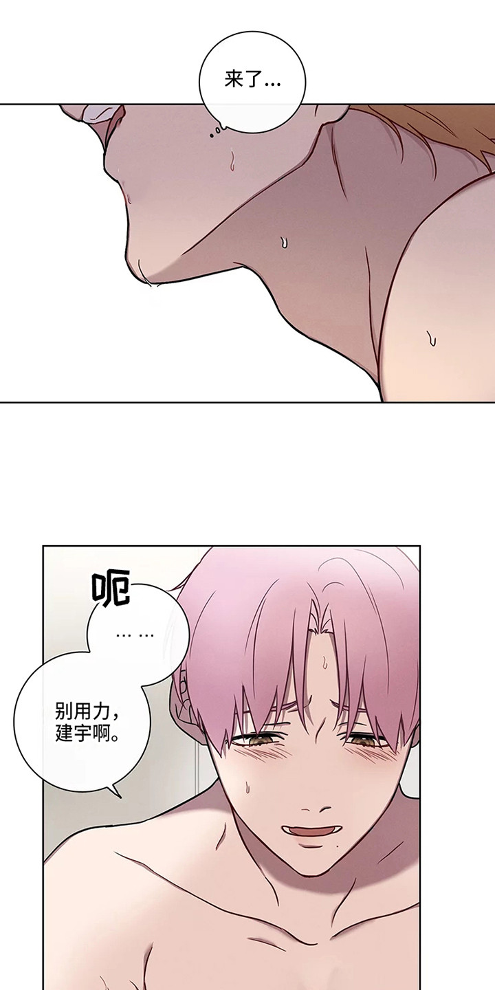 《偷心花园》第52章三角恋人很有关系 第1页