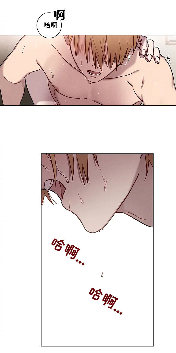 《偷心花园》第52章三角恋人很有关系 第7页