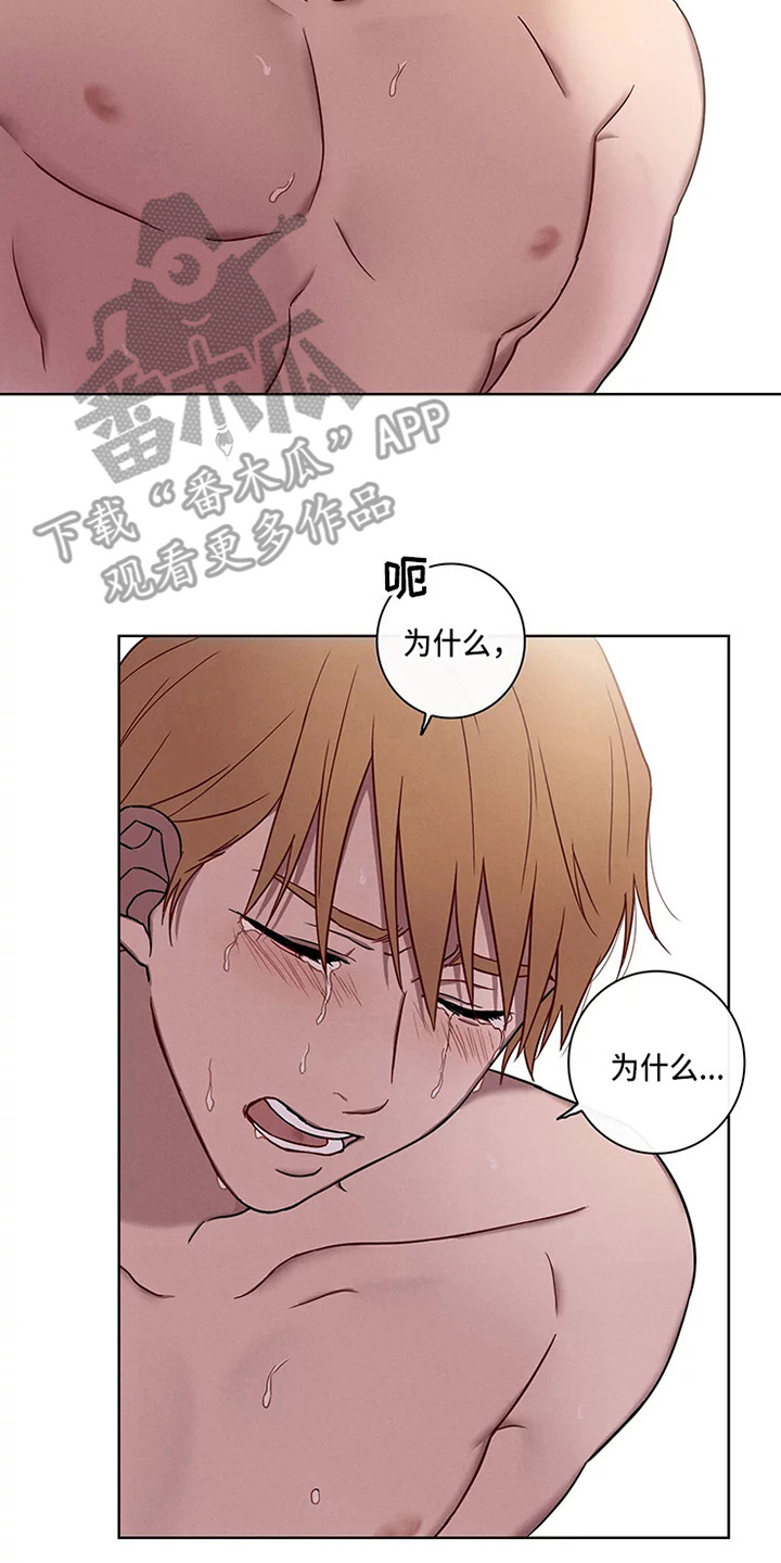 《偷心花园》第52章三角恋人很有关系 第9页