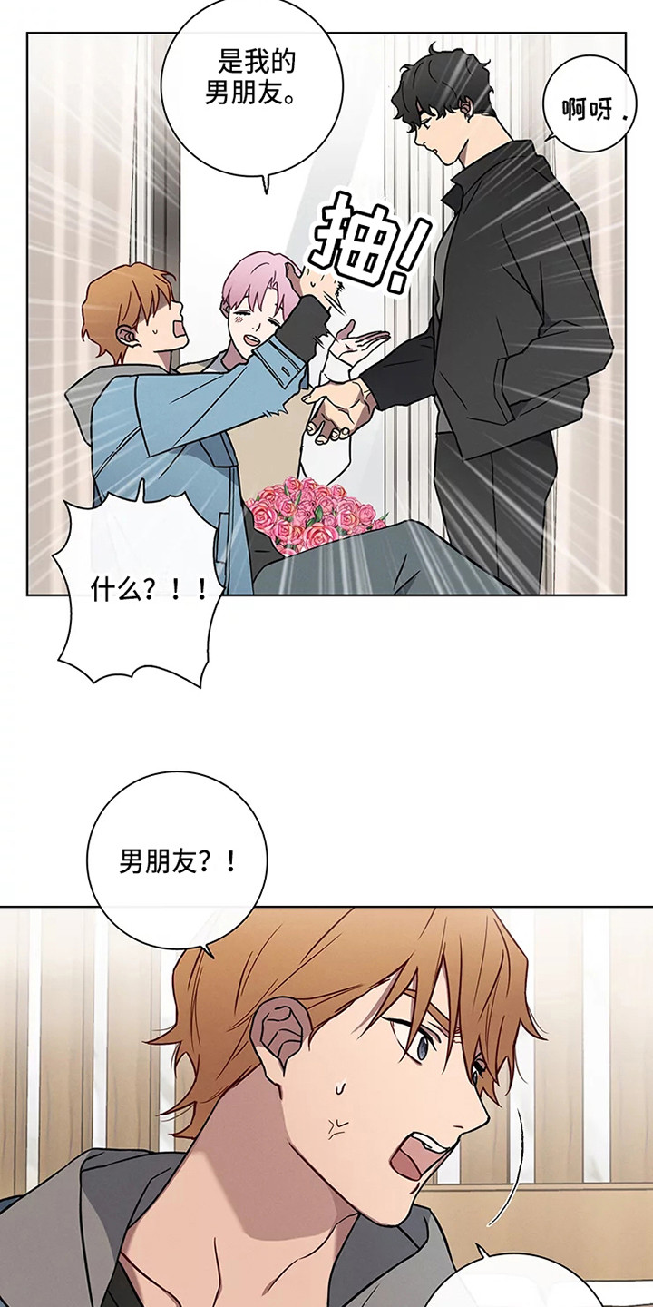 《偷心花园》第49章三角恋人男朋友 第19页