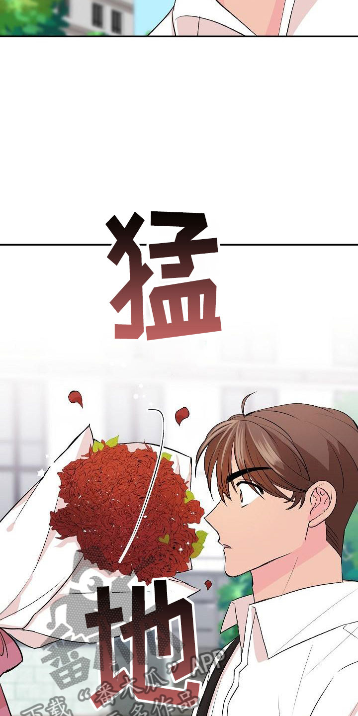 《偷心花园》第31章我的狗男孩约定 第14页