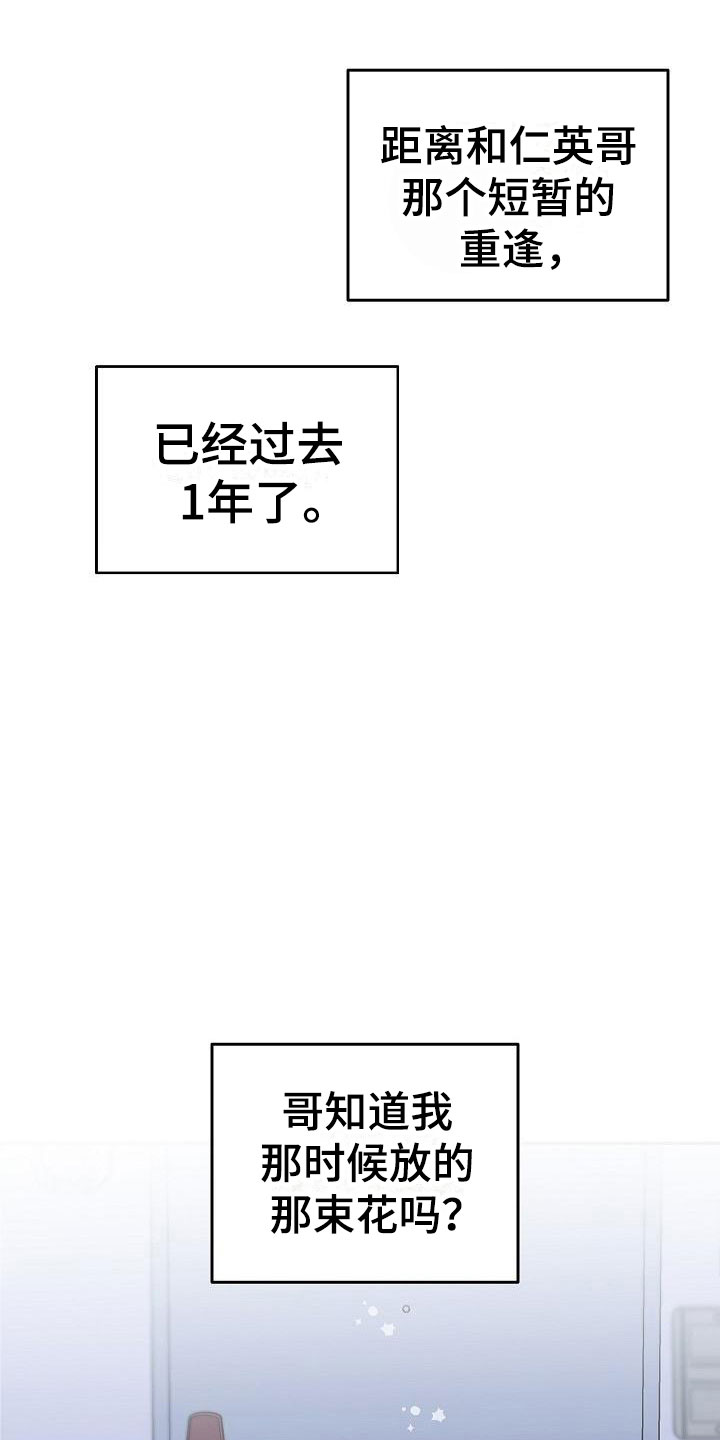 《偷心花园》第31章我的狗男孩约定 第1页