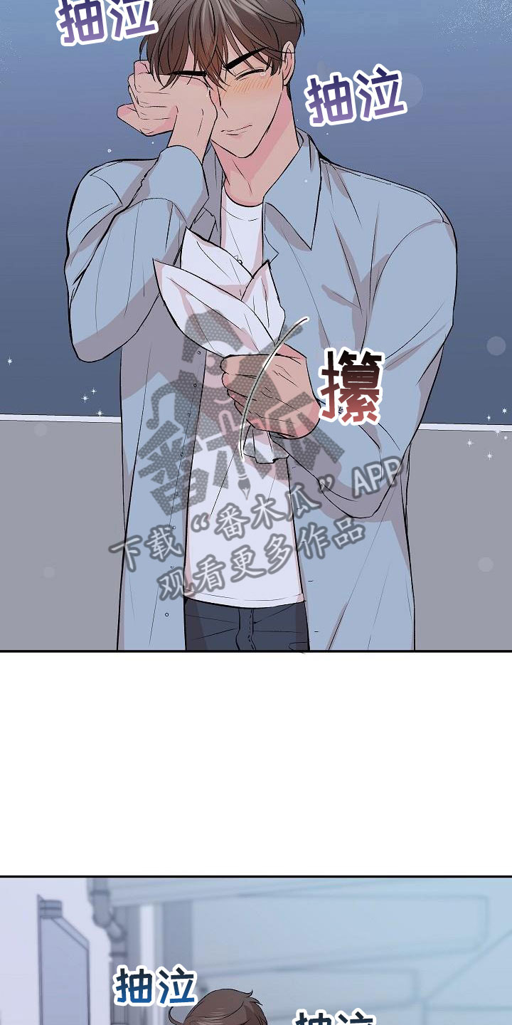 《偷心花园》第30章我的狗男孩错过 第14页